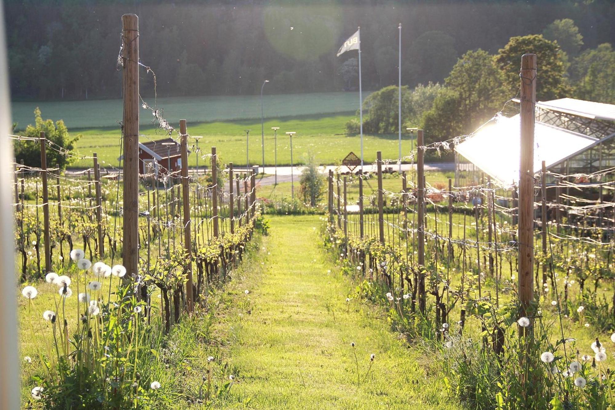 Gisebo Vingard Bed & Breakfast Huskvarna Luaran gambar